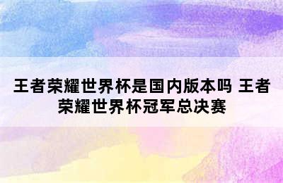 王者荣耀世界杯是国内版本吗 王者荣耀世界杯冠军总决赛